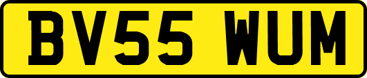 BV55WUM