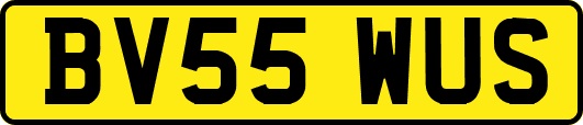 BV55WUS