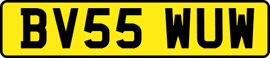 BV55WUW