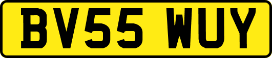 BV55WUY