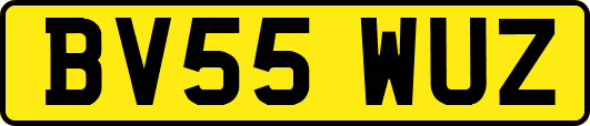 BV55WUZ