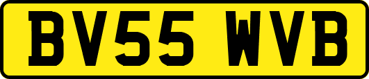 BV55WVB
