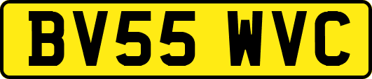 BV55WVC