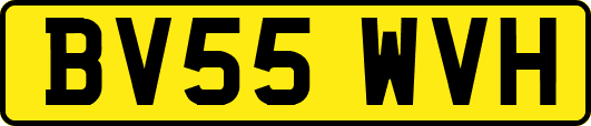 BV55WVH