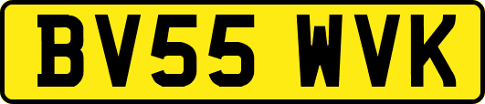 BV55WVK