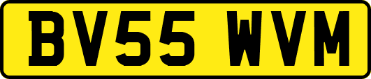 BV55WVM