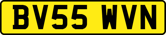 BV55WVN