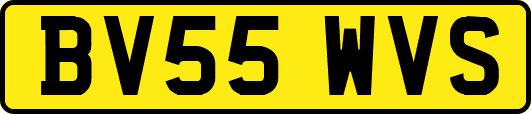 BV55WVS