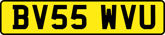 BV55WVU