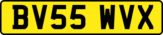 BV55WVX