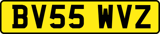 BV55WVZ