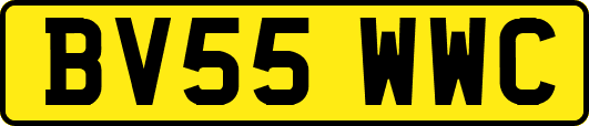BV55WWC