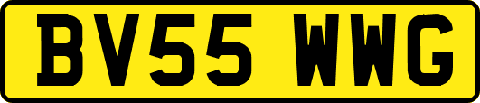 BV55WWG