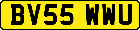 BV55WWU