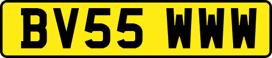BV55WWW