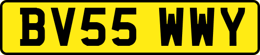 BV55WWY