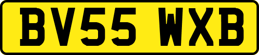 BV55WXB