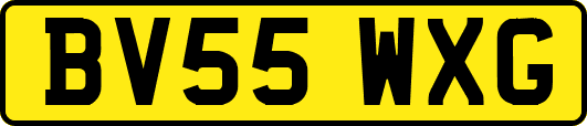 BV55WXG
