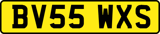 BV55WXS