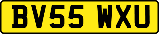 BV55WXU