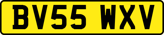 BV55WXV