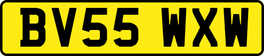 BV55WXW