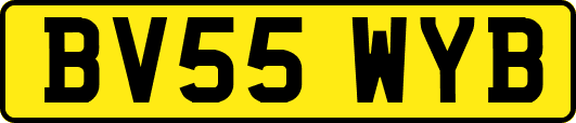 BV55WYB