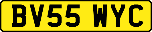 BV55WYC