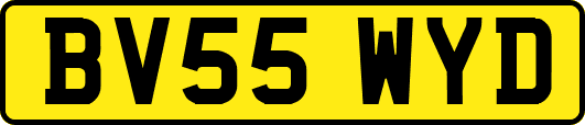 BV55WYD