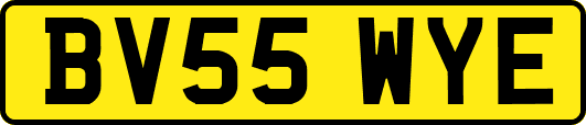 BV55WYE