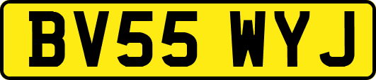 BV55WYJ