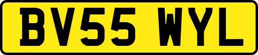 BV55WYL