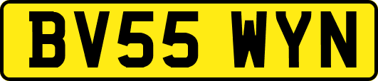 BV55WYN