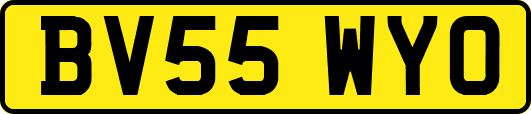 BV55WYO