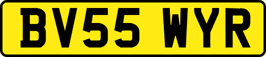 BV55WYR