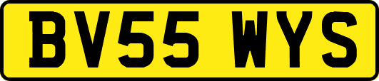 BV55WYS