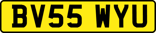 BV55WYU