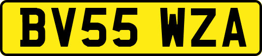 BV55WZA