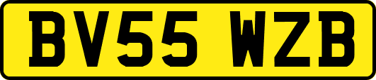 BV55WZB
