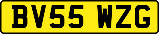BV55WZG
