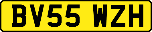 BV55WZH