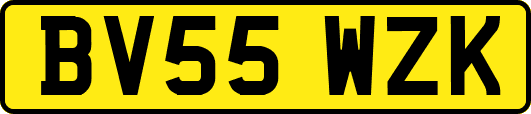 BV55WZK