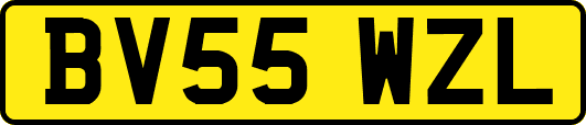 BV55WZL