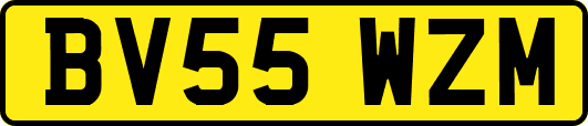 BV55WZM
