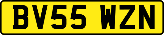BV55WZN