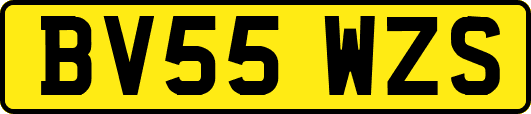 BV55WZS