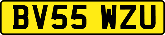 BV55WZU