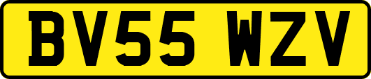 BV55WZV
