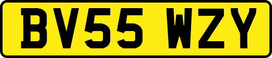 BV55WZY