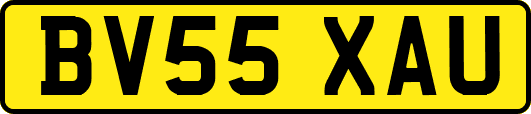 BV55XAU